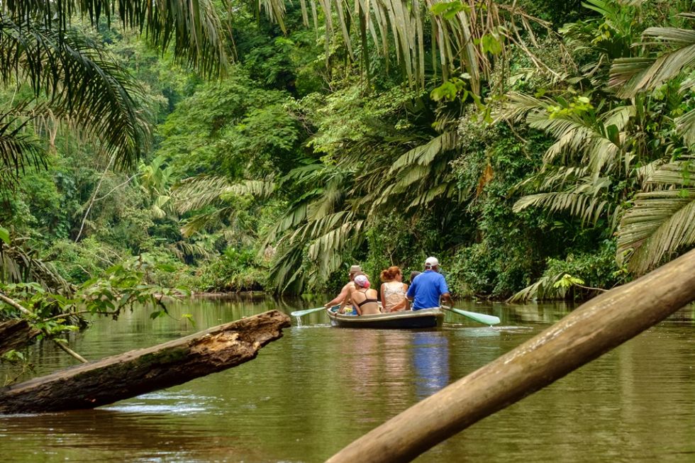 Tortuguero National Park - Panama 